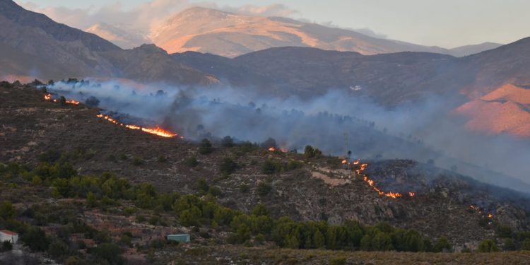 Movilizados unos 60 efectivos y cinco camiones autobomba por un incendio forestal en Gualchos 1 Incendio de Gualchos