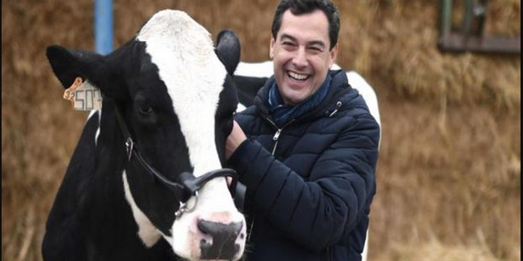 Juanma Moreno volverá a usar su "talismán" para las próximas elecciones andaluzas 1 juanma moreno vaca