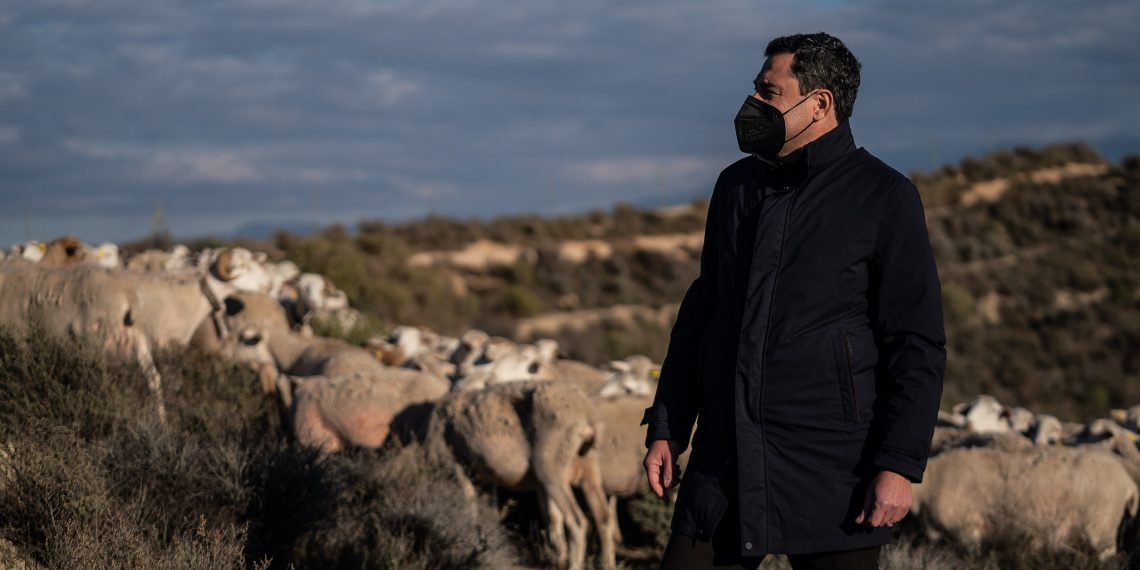 Moreno Bonilla ganadería