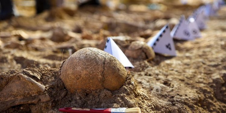 La exhumación de las fosas comunes de Aguilar de la Frontera y Monturque continuarán gracias a Diputación 1 fosa comun muertos guerra civil