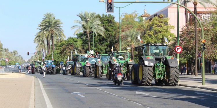 El campo andaluz se levanta para pedir su merecido sitio 1 El campo Andalucía se reivindica en Madrid.