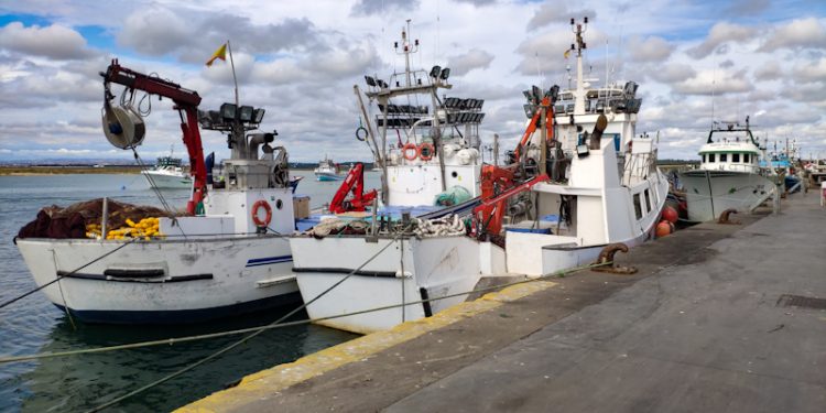 Los pescadores andaluces se manifiestan por la insostenibilidad del precio de los combustibles 1 Los pescadores andaluces se manifiestan por la insostenibilidad del precio de los combustibles