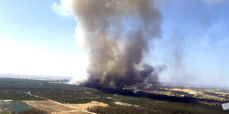 El Gobierno de España aprueba la declaración de zona catastrófica en cinco territorios andaluces afectados por incendios 1 El Gobierno de España aprueba la declaración de zona catastrófica en cinco territorios andaluces afectados por incendios