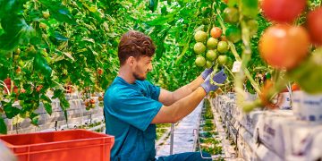 modernizacion coag andalucia