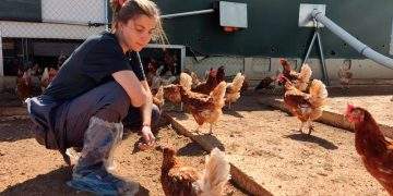 erasmus rural zaragoza