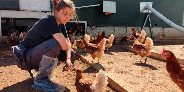 Diputación y Universidad de Zaragoza ponen en marcha la sexta edición de Erasmus rural 1 erasmus rural zaragoza