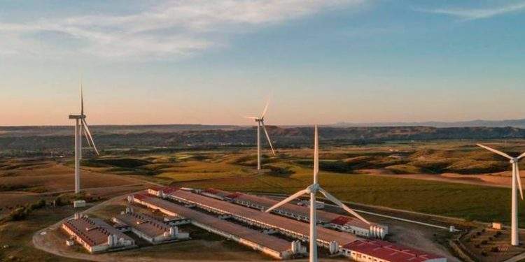 grupo jorge empresa aragon