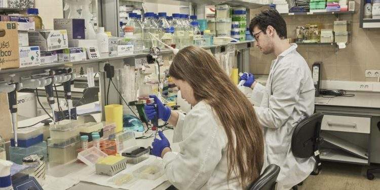 Aragón lanza subvenciones para la Formación postdoctoral con 1,49 millones de euros