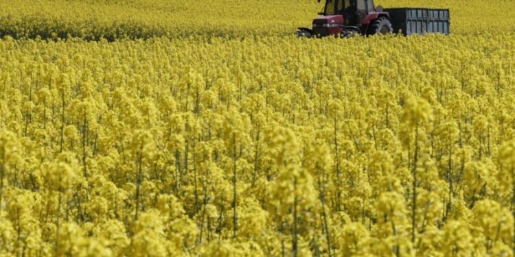 Conflicto entre la DGA y Vox por la PAC mientras Rincón desvía la atención hacia Moncloa 1 Conflicto entre la DGA y Vox por la PAC mientras Rincon desvia la atencion hacia