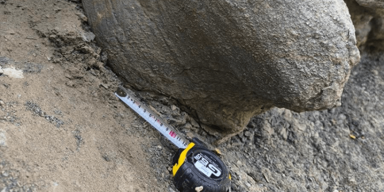 Jornada de Puertas Abiertas en un yacimiento de huellas de dinosaurio en Alcalá de la Selva (Teruel) 1 Jornada de Puertas Abiertas en un yacimiento de huellas de dinosaurio en Alcalá de la Selva (Teruel)