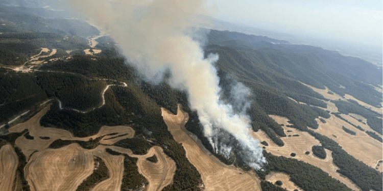 Incendio Castejón de Valdejasa Farasdués Zaragoza