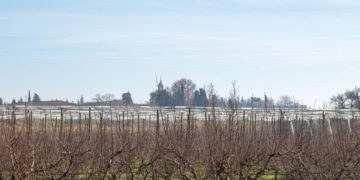 La DGA lanza convocatoria de subvenciones para seguros agrarios y planea aumenta