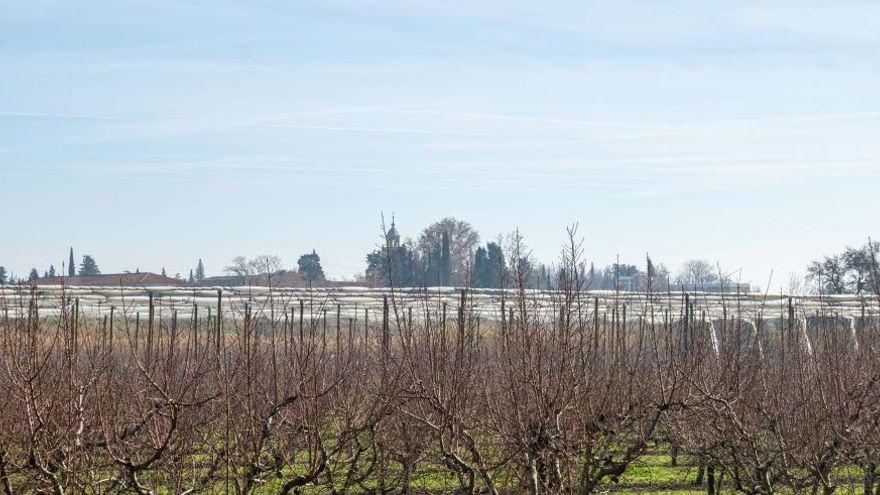 La DGA lanza convocatoria de subvenciones para seguros agrarios y planea aumenta