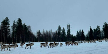 Seis vuelos especiales desde Zaragoza para el proximo macro puente