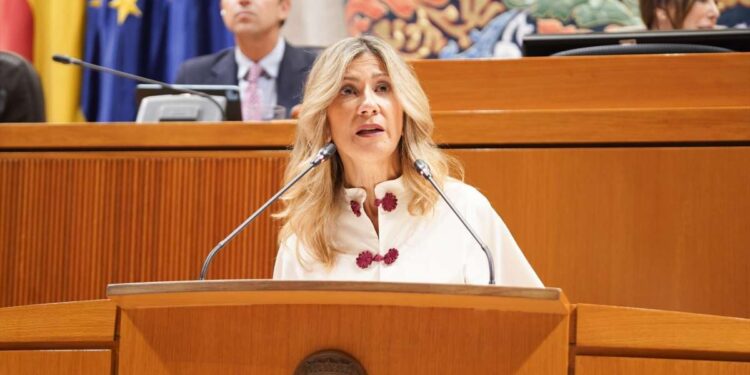 Vaquero destaca la importancia de la colaboracion publico privada para impulsar 1 2