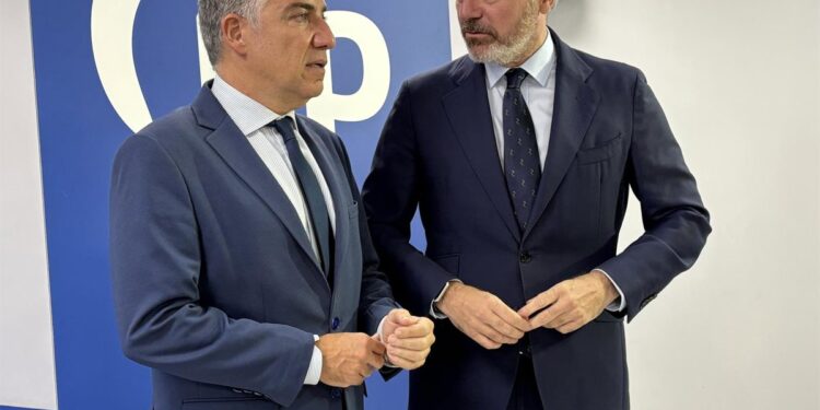 Vox destituye a su asesor tras las presiones del PP por comentarios extremistas
