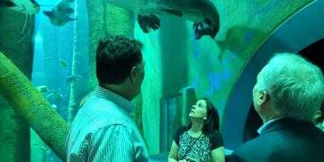 El Acuario de Zaragoza experimenta una batería de mejoras