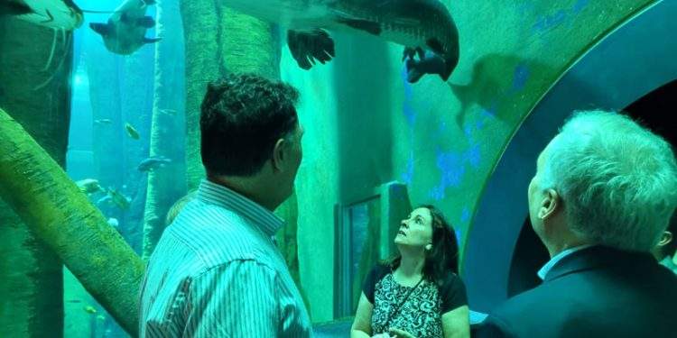 El Acuario de Zaragoza experimenta una batería de mejoras