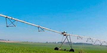 Investigadores del CITA asesoran en el desarrollo de nueve proyectos de innovación y transferencia agroalimentaria