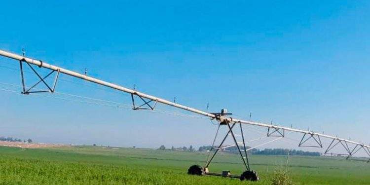 Investigadores del CITA asesoran en el desarrollo de nueve proyectos de innovación y transferencia agroalimentaria