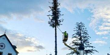 El PAR denuncia «la tala de los árboles en la plaza del Ayuntamiento de Biescas»