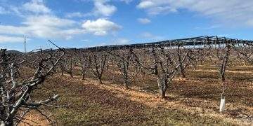 Abierto el plazo para la solicitud única de las ayudas de la PAC en Aragón