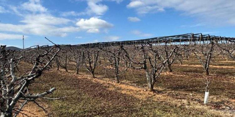 Abierto el plazo para la solicitud única de las ayudas de la PAC en Aragón