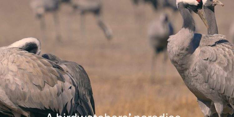 Una decena de vídeos para promocionar las rutas del Consorcio Camino del Cid