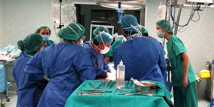 Aragón registra 115 trasplantes de órganos en 2024 1 Aragón registra 115 trasplantes de órganos en 2024