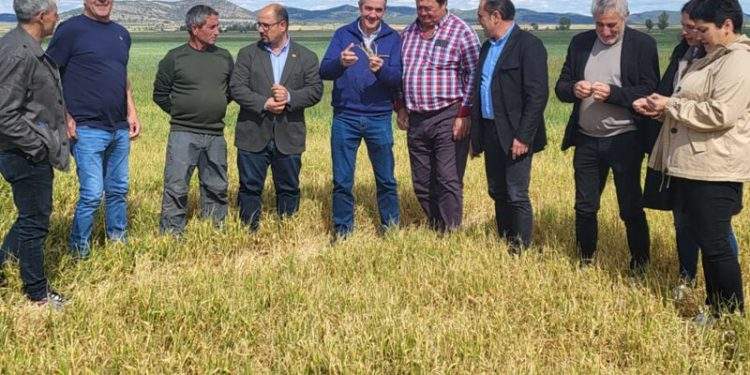 El PAR demanda más acciones para respaldar a los agricultores del entorno de la Laguna de Gallocanta 1 El PAR demanda más acciones para respaldar a los agricultores del entorno de la Laguna de Gallocanta