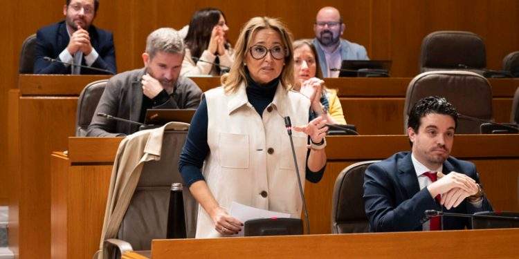 El PSOE acusa a Azcón de “escurrir el bulto” y le exige que se responsabilice de sus competencias 1 El PSOE acusa a Azcón de “escurrir el bulto” y le exige que se responsabilice de sus competencias