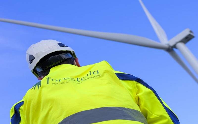 Molinos Viento Parque Eólico Forestalia