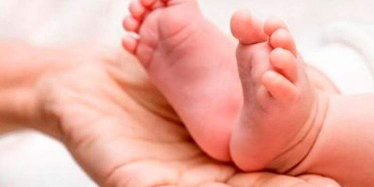 Aragón ya puede diagnosticar hasta 42 enfermedades con la prueba del talón 1 Aragón ya puede diagnosticar hasta 42 enfermedades con la prueba del talón