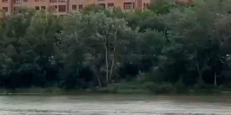 Dos policías nacionales rescatan a una mujer en el río Ebro 1 Dos policías nacionales rescatan a una mujer en el río Ebro