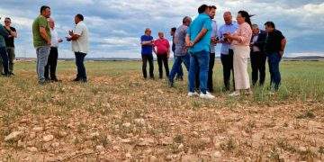 Agricultura delimita las comarcas agrarias afectadas por la sequía