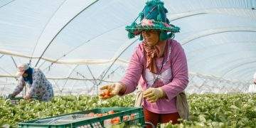 La cifra de afiliados extranjeros a la Seguridad Social marca un nuevo máximo y alcanza los 2.792.096 ocupados